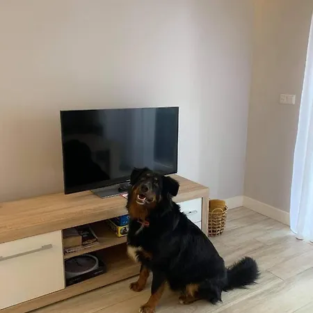 Morski * ミエンジボジェ