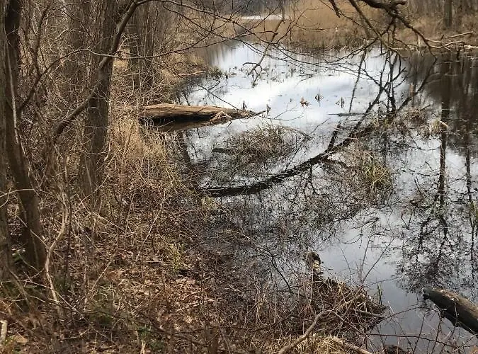 Morski Międzywodzie