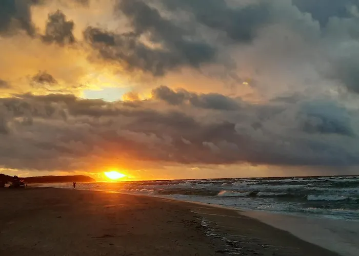 Morski * مينزفوجة