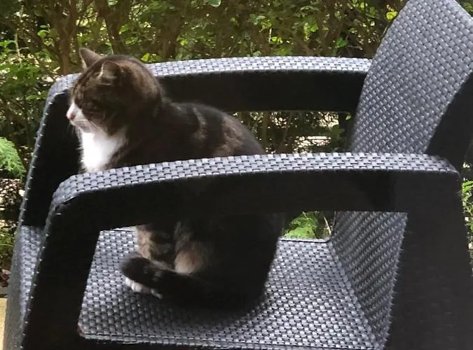 Morski Apartamento Międzywodzie